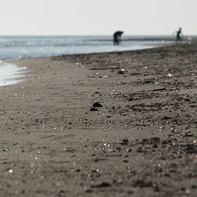 Klithjem_Badehotel_Vejers-Strand_Sandbund.webp
