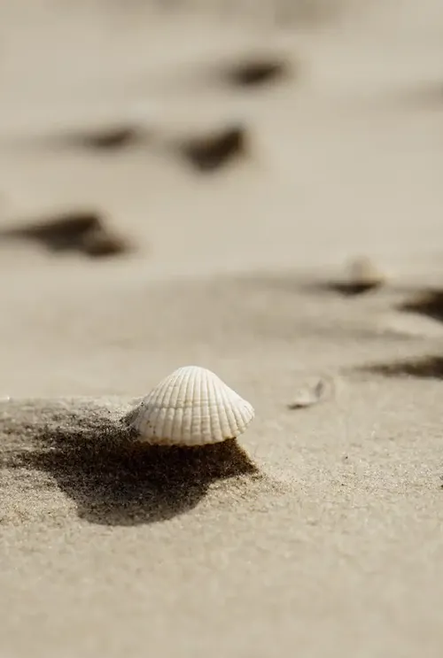 klithjem_badehotel_strand_strandskaller.webp